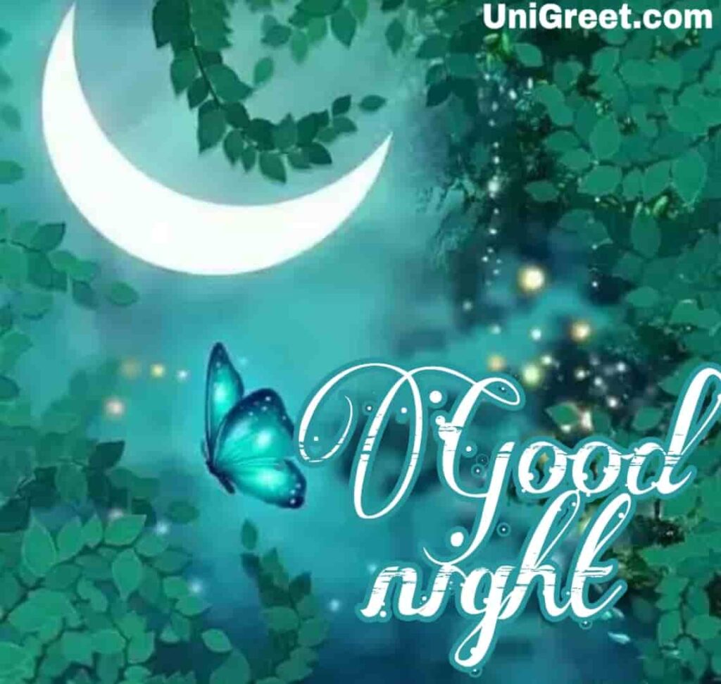 Good night moon and butterfly image