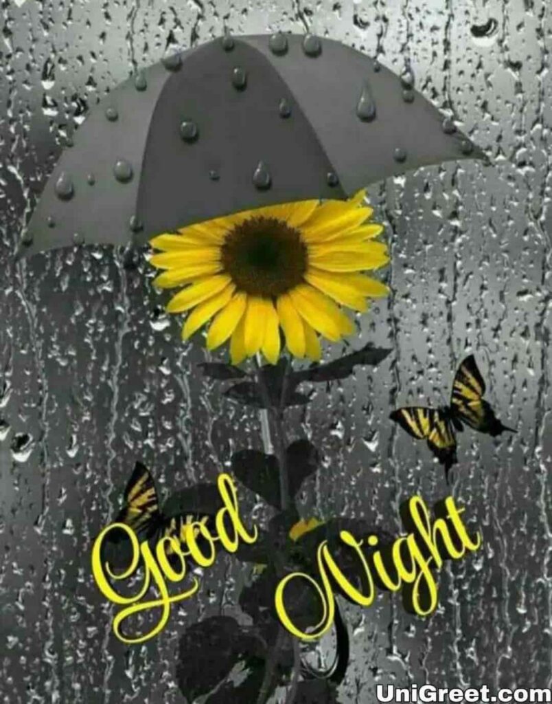 Latest good night image with umbrella and rain