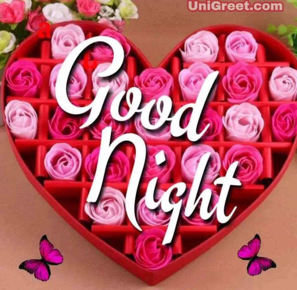 Good night pink rose flowers image