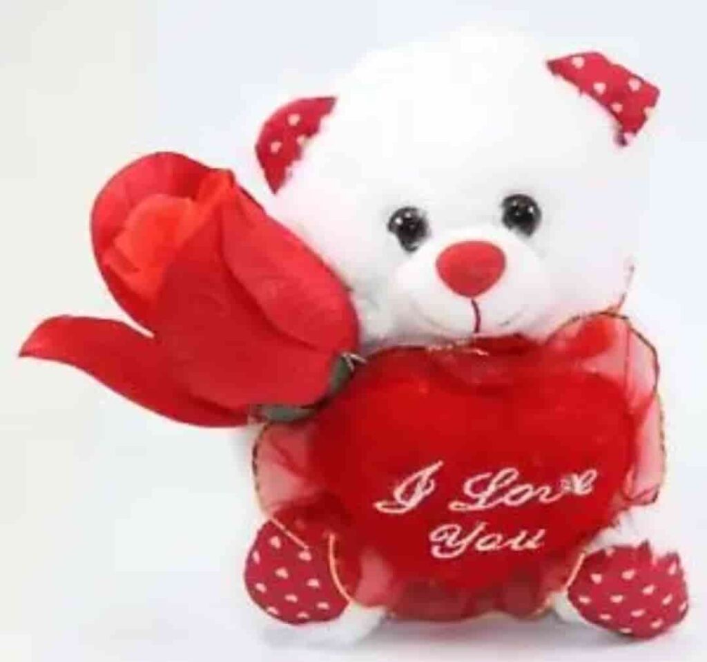 Best teddy bear whatsapp status image download