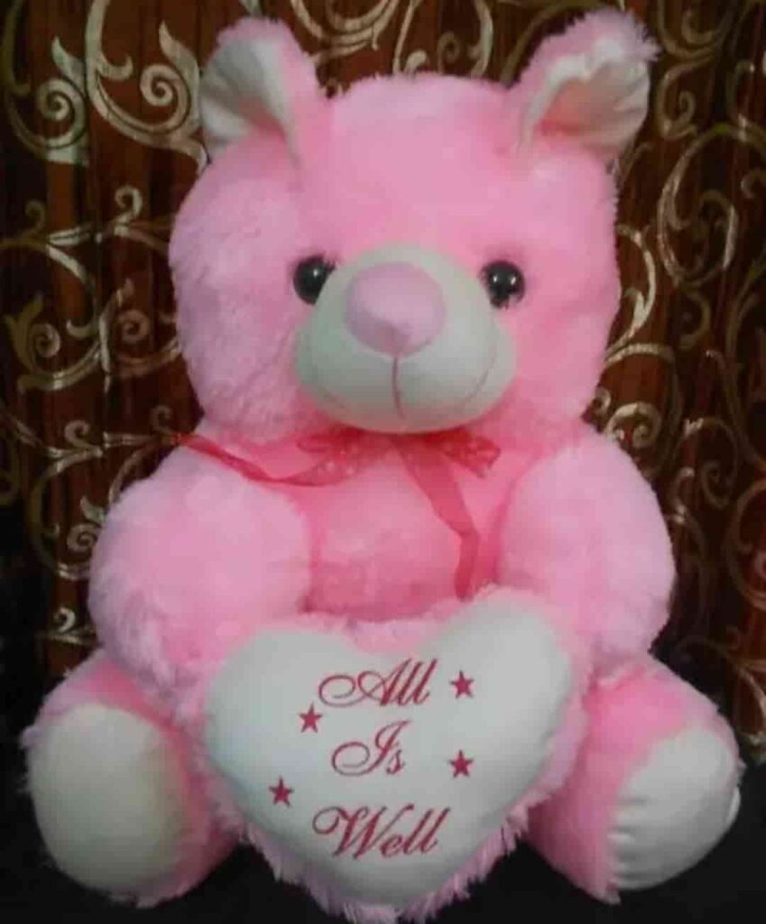 Teddy bear with quotes