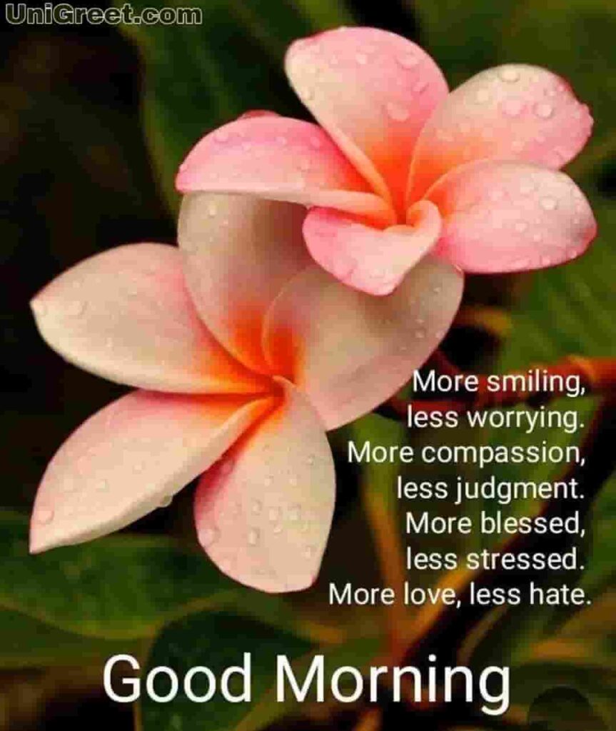 Good morning quotes with flower