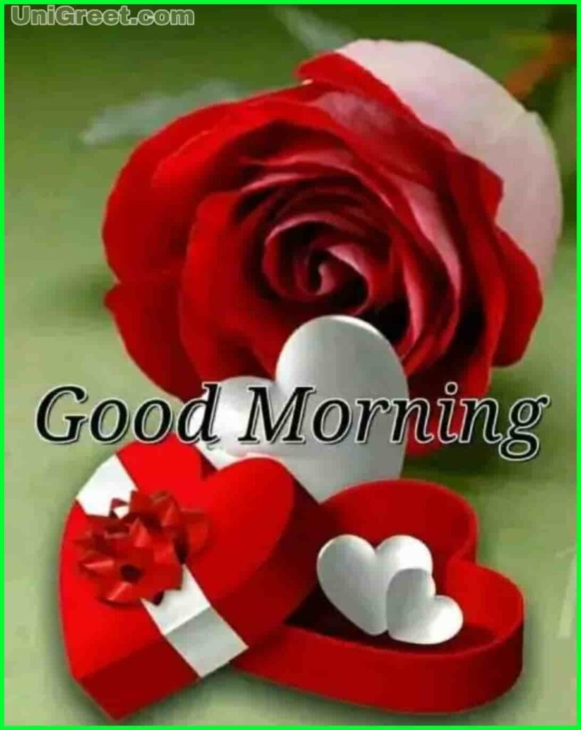 Good morning red rose and love pic download
