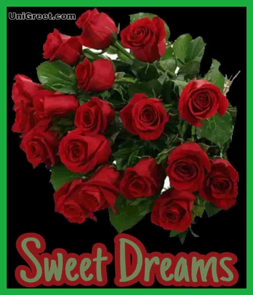 Red roses good night photo for Whatsapp