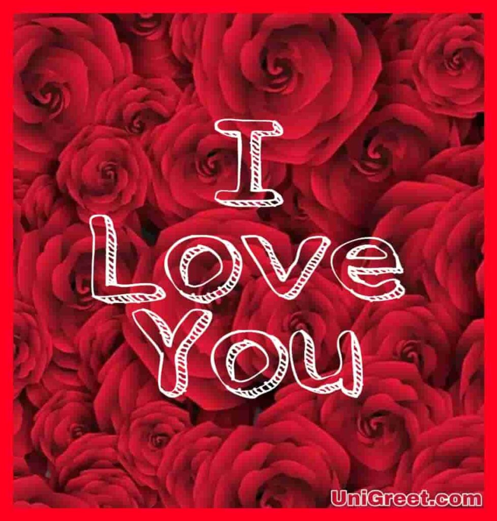 I love you image with beautiful red roses 