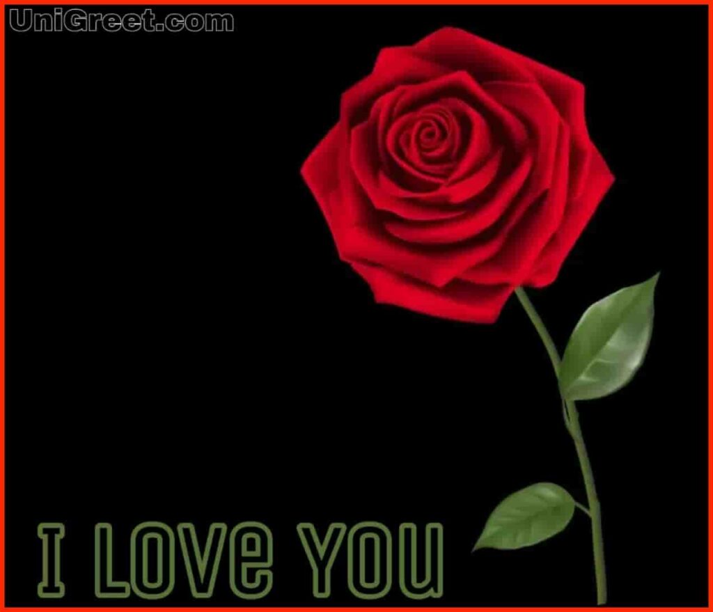 Red rose I love you wallpaper