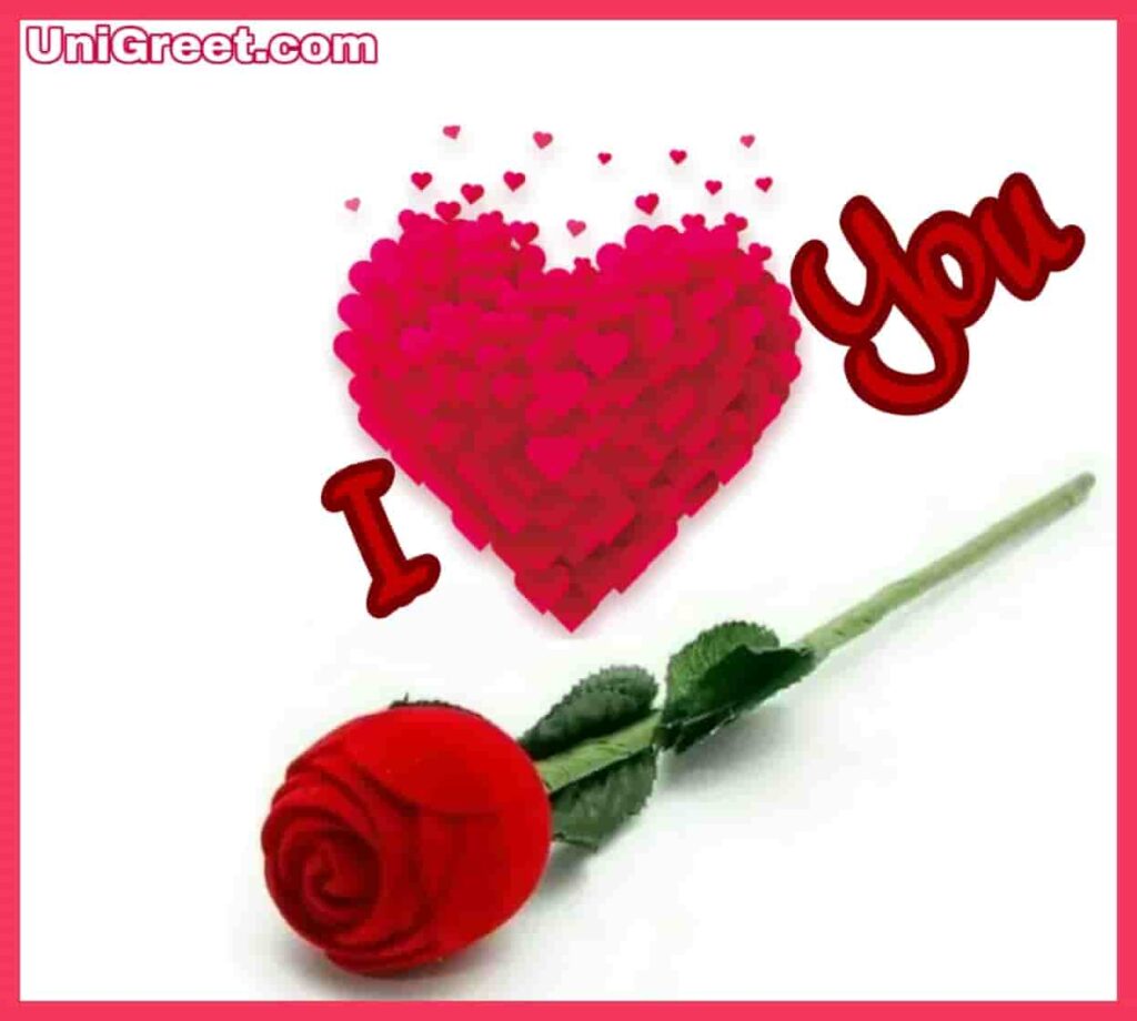 I love you image with red rose and love for whatsapp dp and status