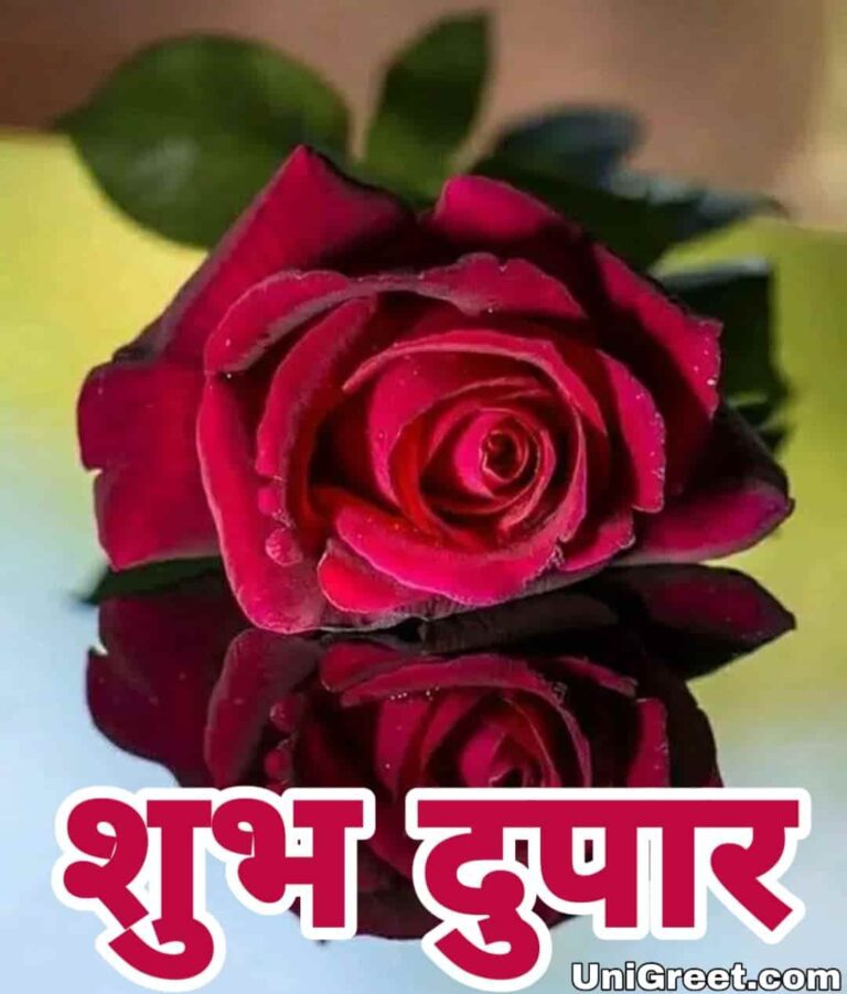 Latest Marathi Good Afternoon Love Images Quotes Status In Marathi