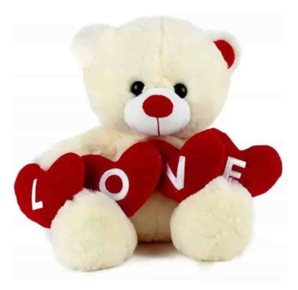 Teddy bear with love message