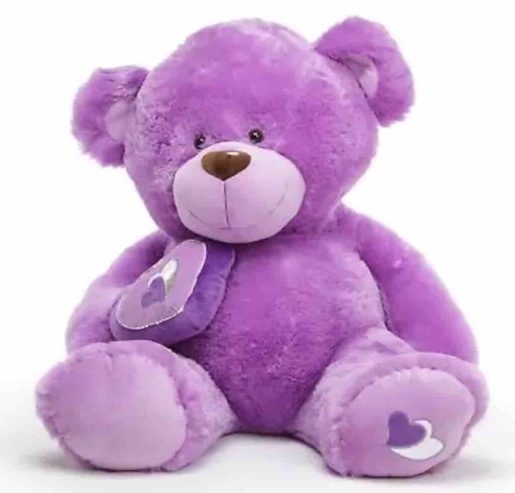 Best teddy bear image download