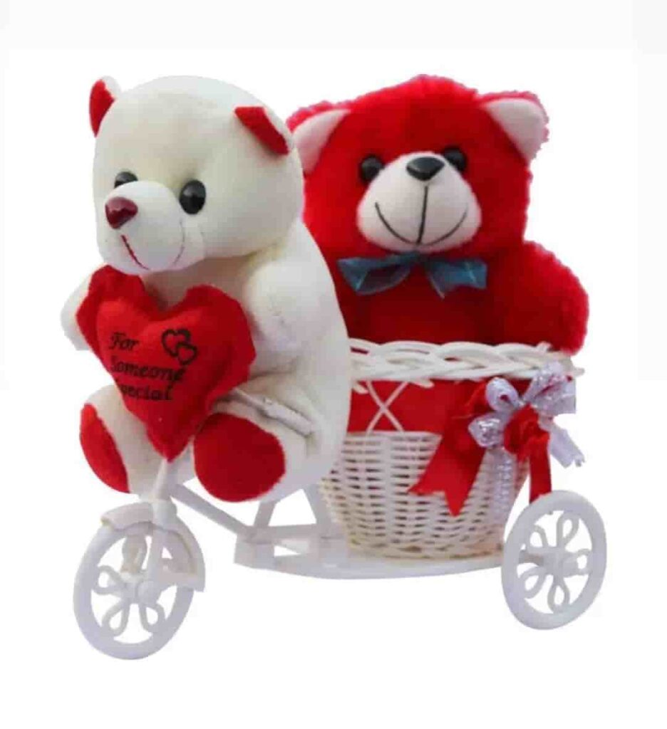 teddy bear cycle photo
