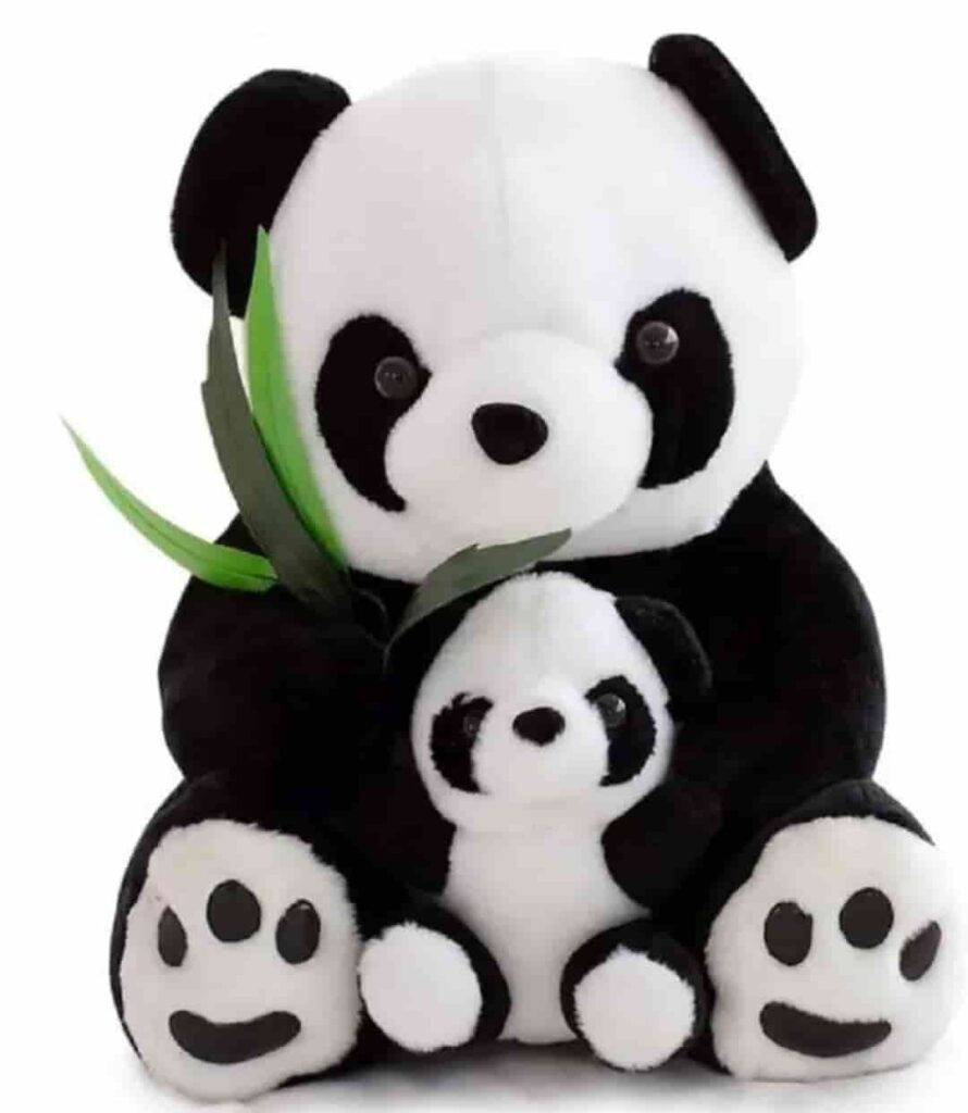 panda teddy bear pic download