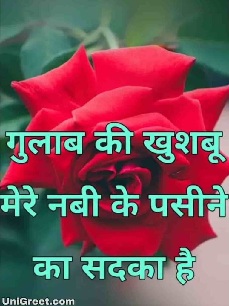 Red rose Islamic quotes images in hindi for profile picture