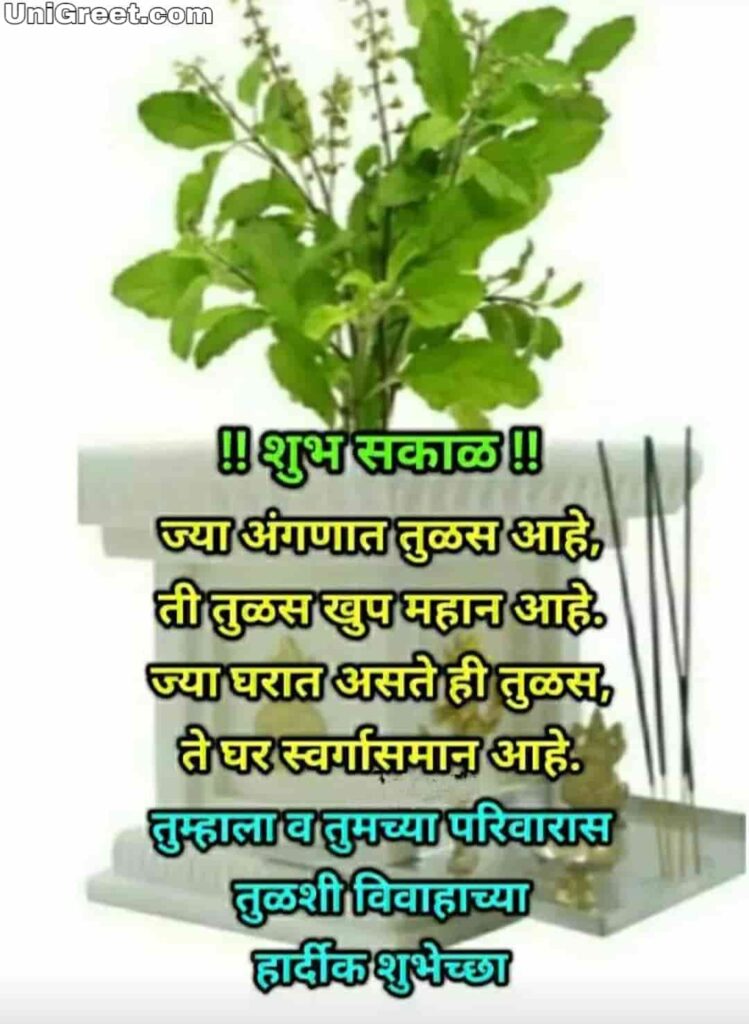 good morning tulsi vivah images with tulsi plant 