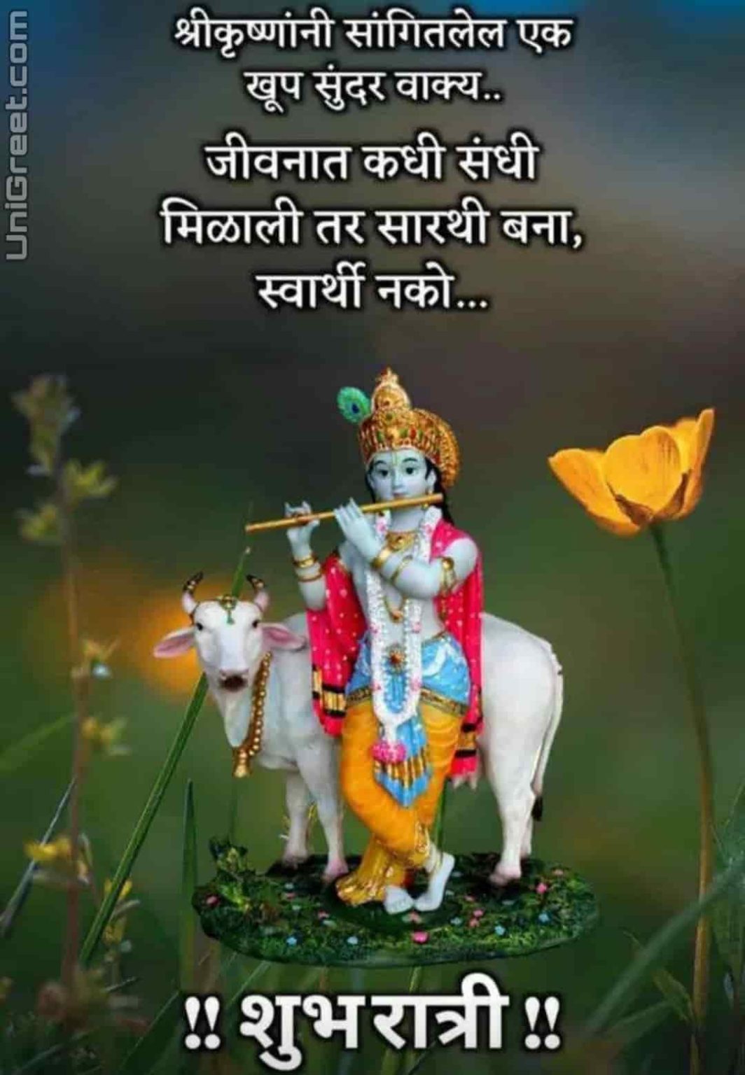 50+ शुभ रात्री मराठी शुभेच्छा | Good Night Wishes Images Quotes Status