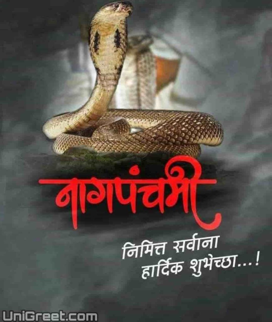 Best Nag Panchami Marathi Banner Background Images Download