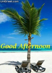 {BEST} Good Afternoon Images Quotes Wallpaper Messages Free Download