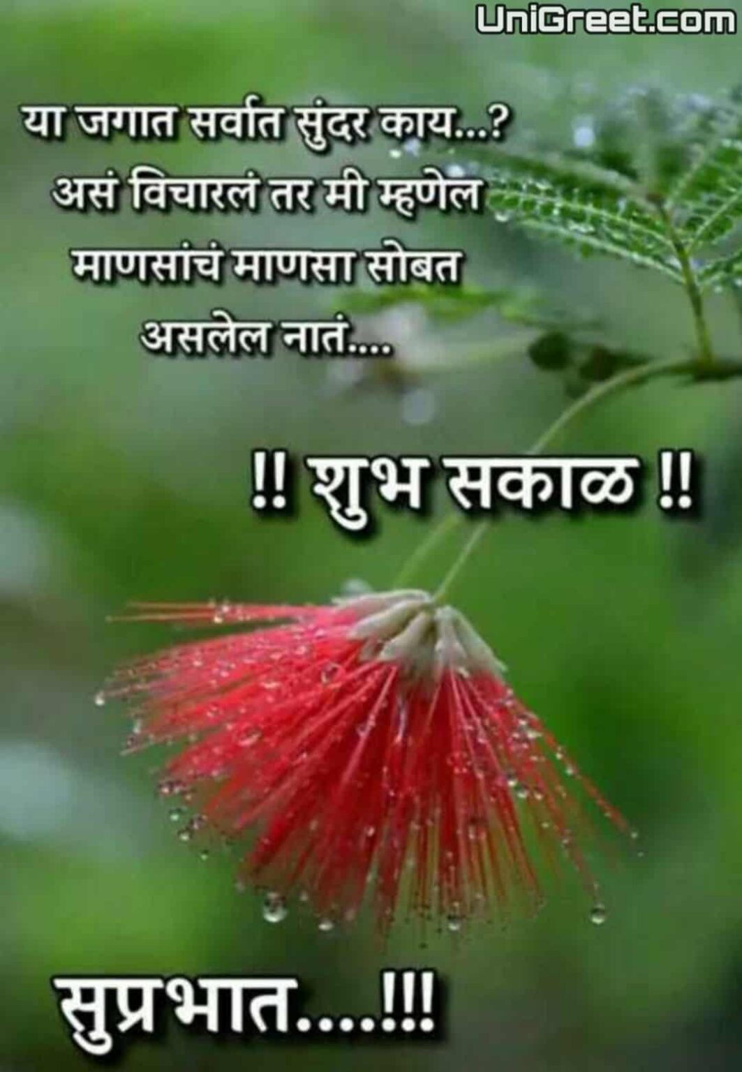 100+ शुभ सकाळ मराठी शुभेच्छा | Good Morning Wishes Images Quotes Status