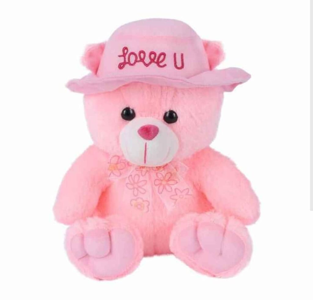 Teddy Bear with love you