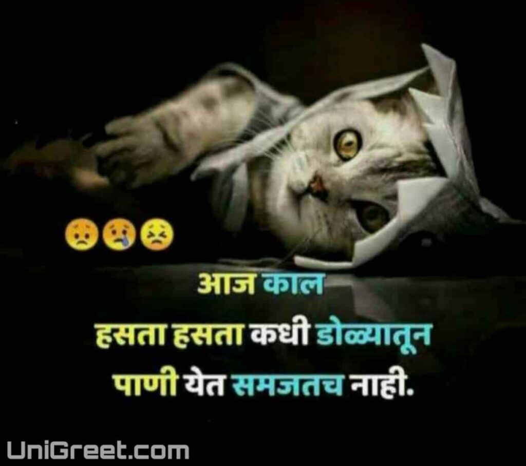 sad cat marathi status for whatsapp