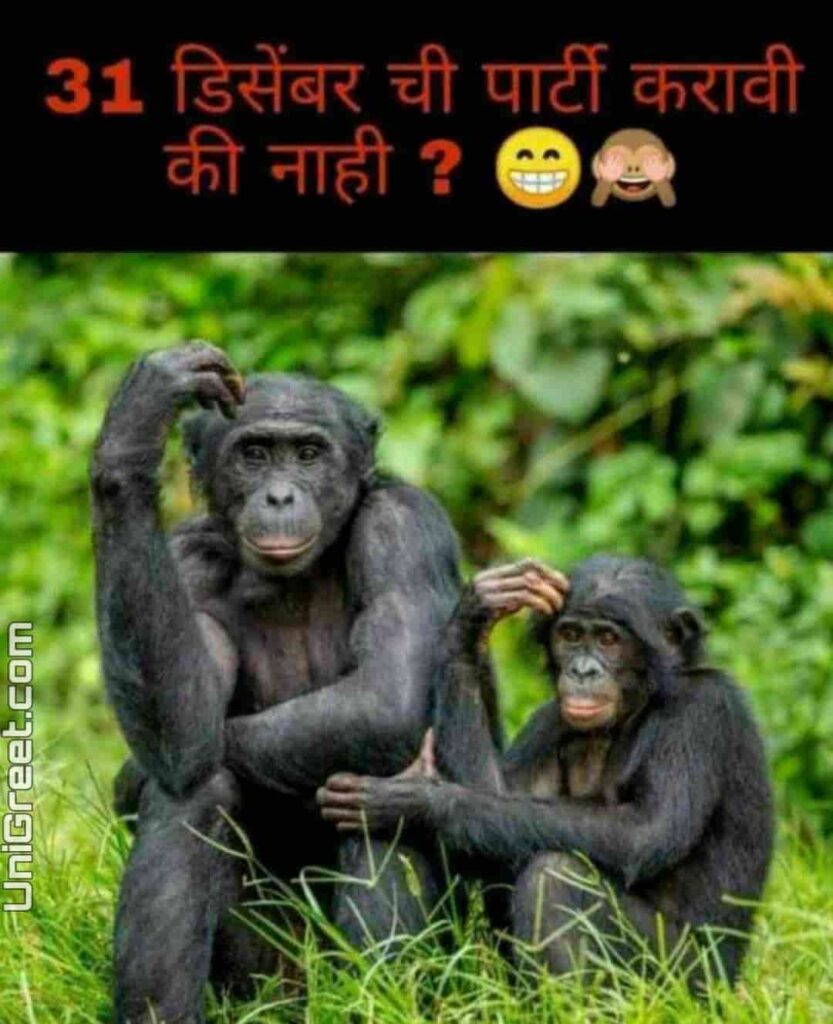 New 31st December Funny Marathi Status Jokes Quotes Images Msg ...