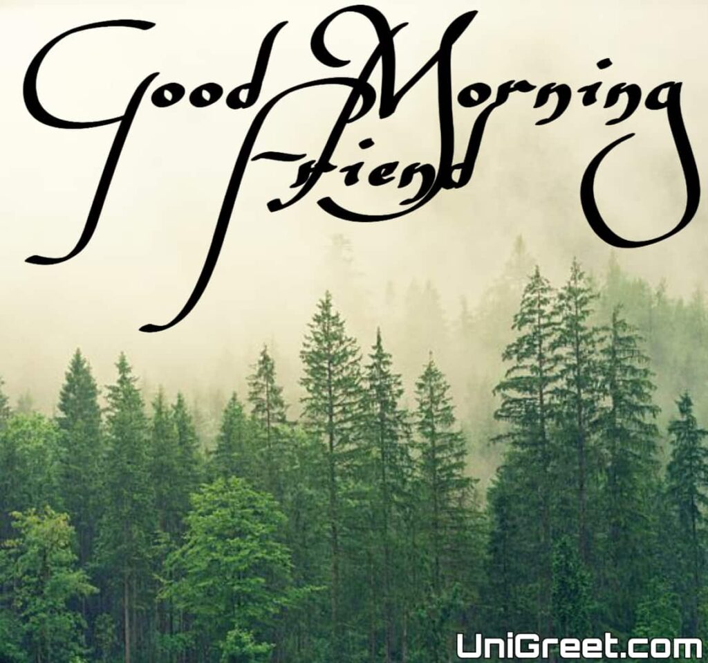 Good morning friends hd wallpaper download