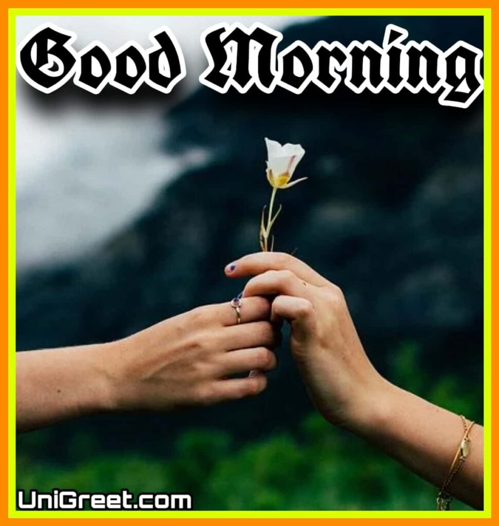 Beautiful good morning images hd download 2021