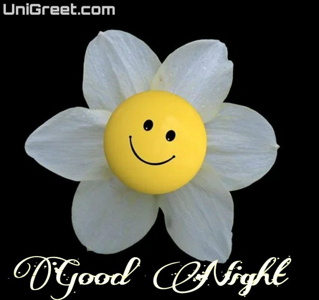good night smiley whatsapp