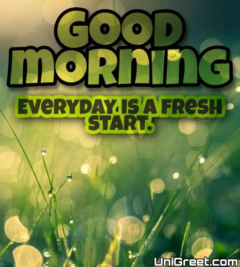 50 Best Good Morning Quotes, Wishes, Messages, Images Hd 2023 {4K ...