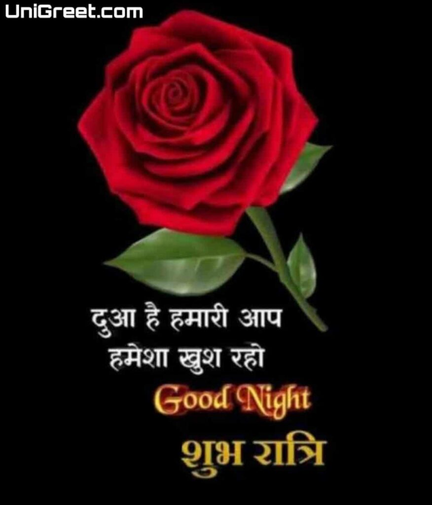 good night red rose shayari