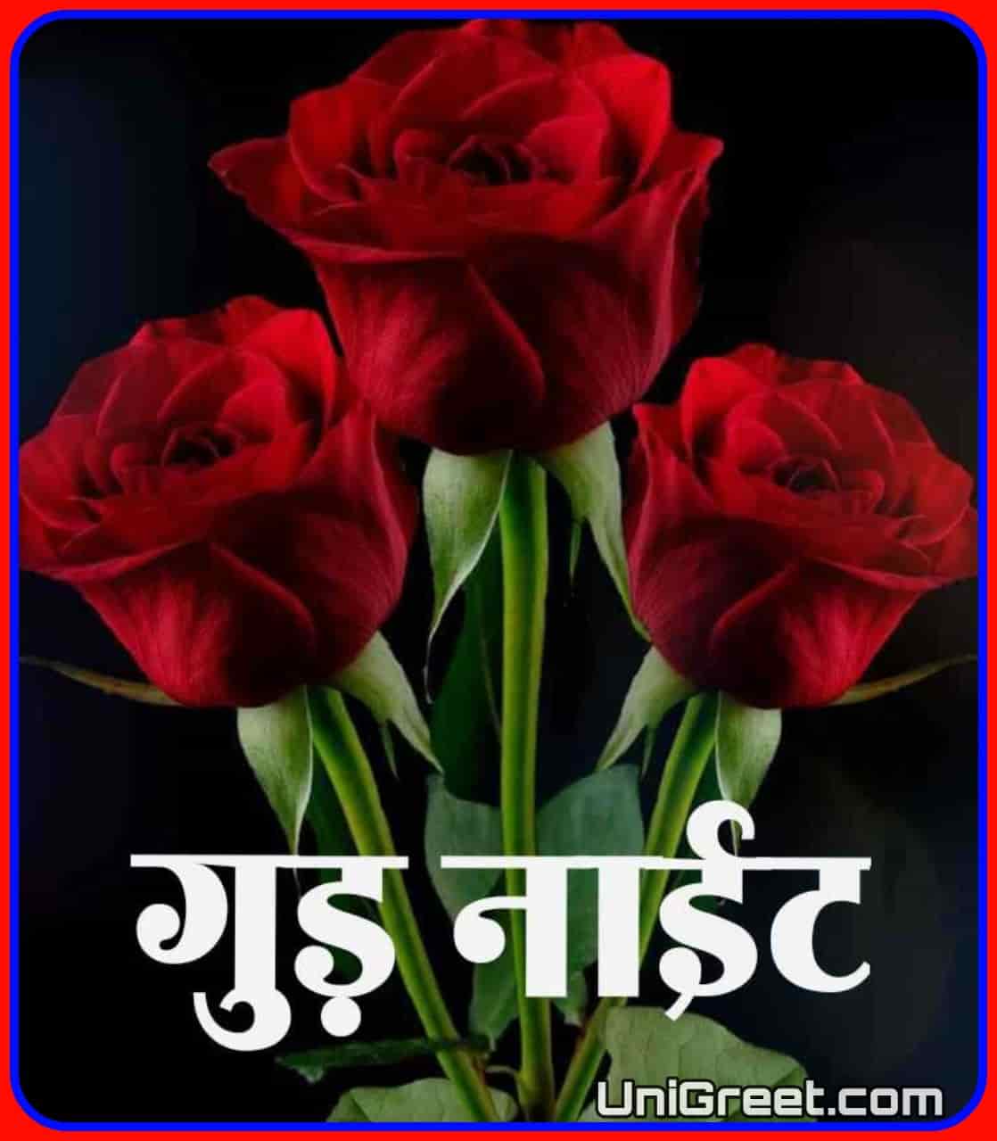Beautiful good night rose images in marathi