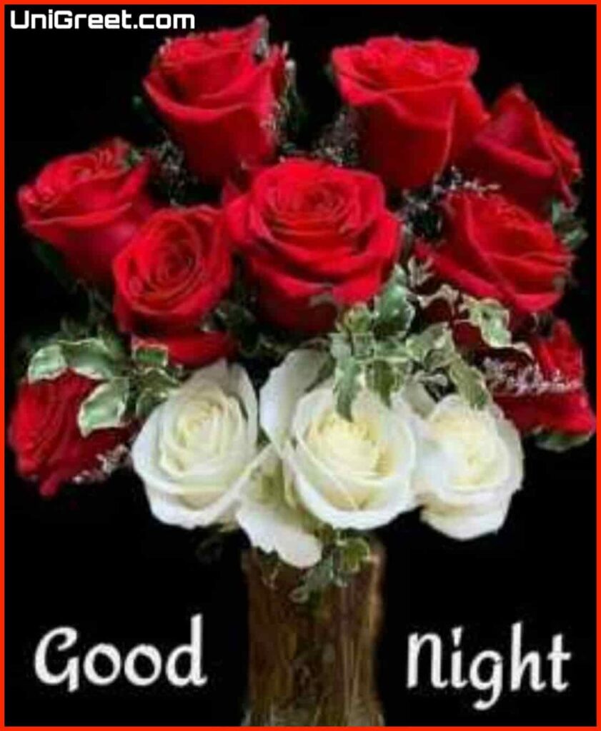 red good night roses  image