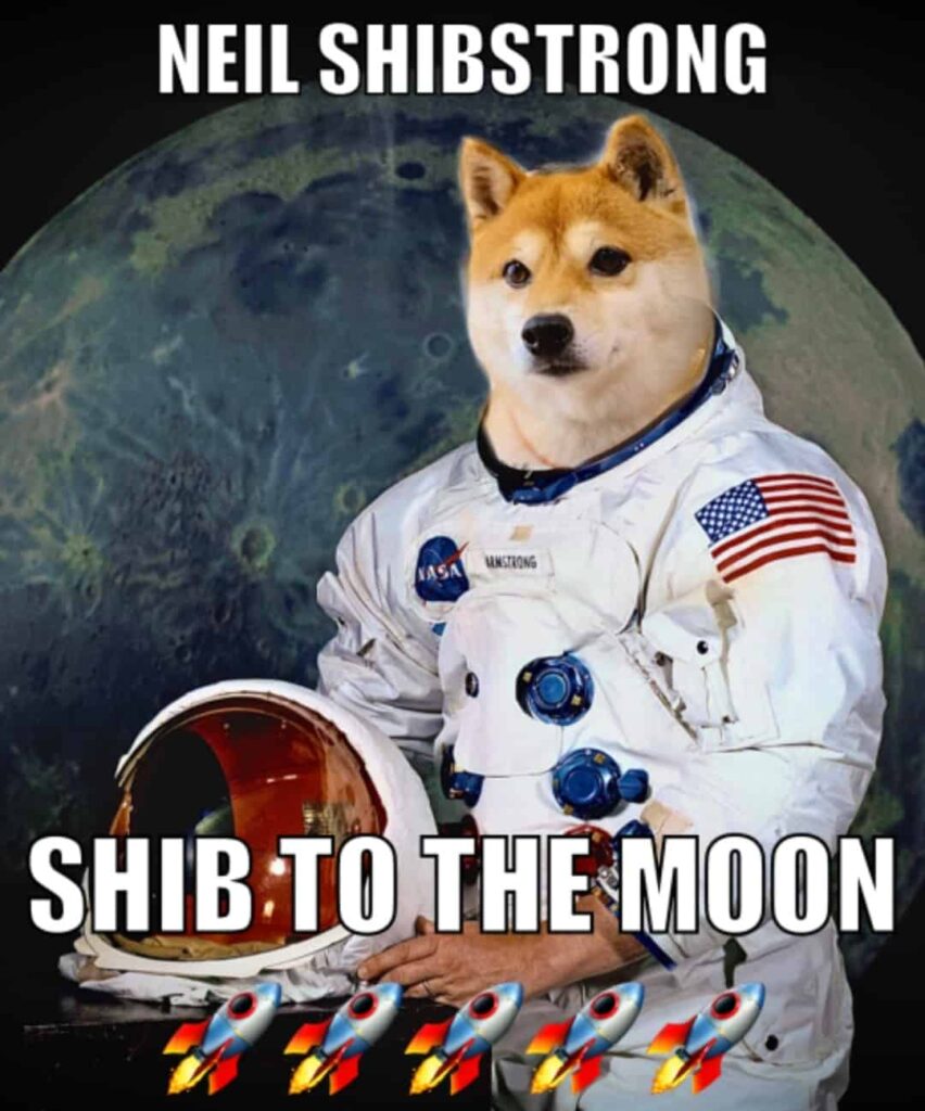 shiba to the moon image