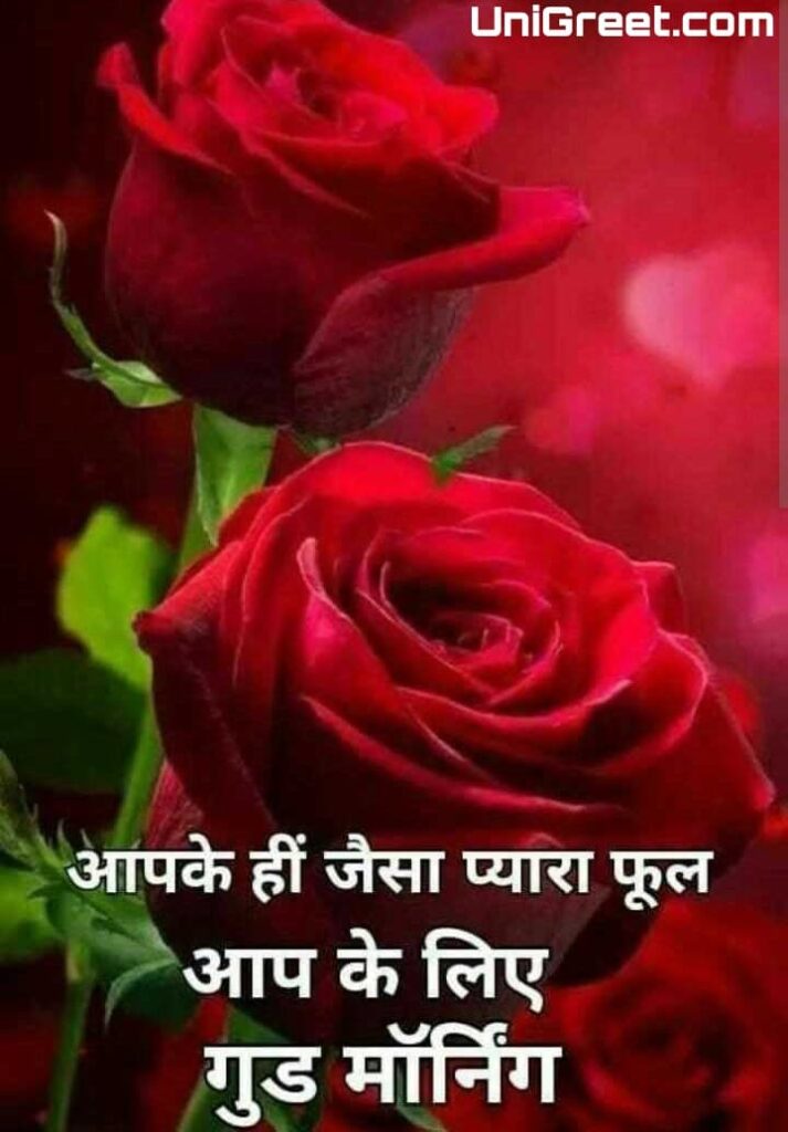good morning rose images in hindi