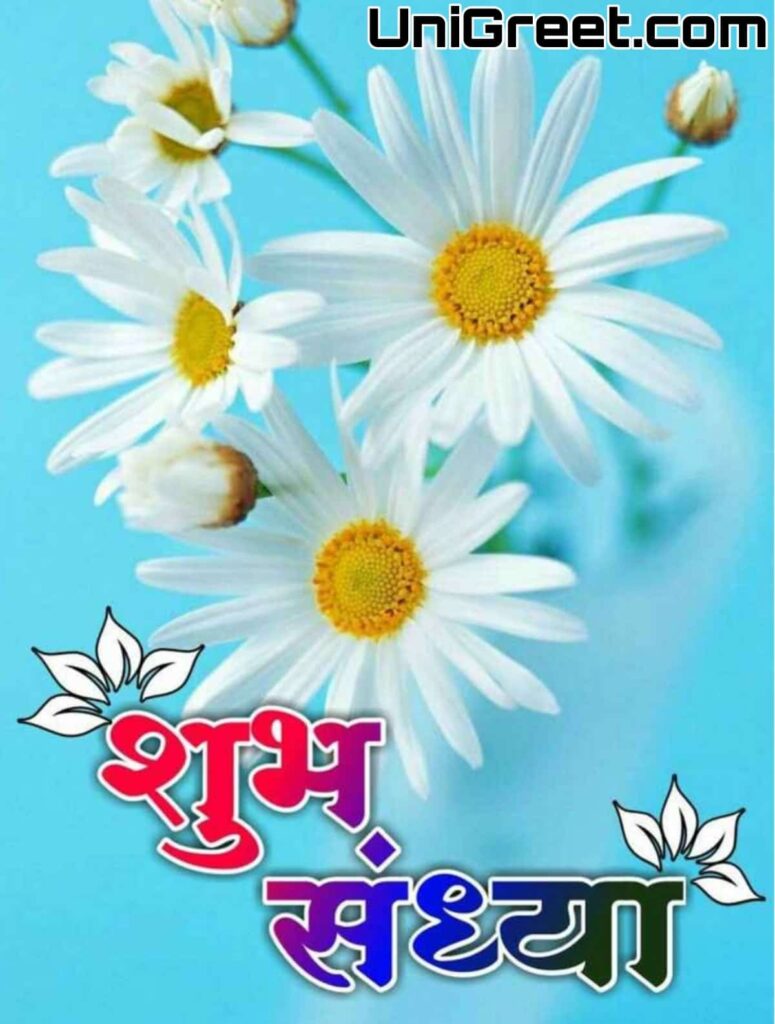 good evening flower marathi