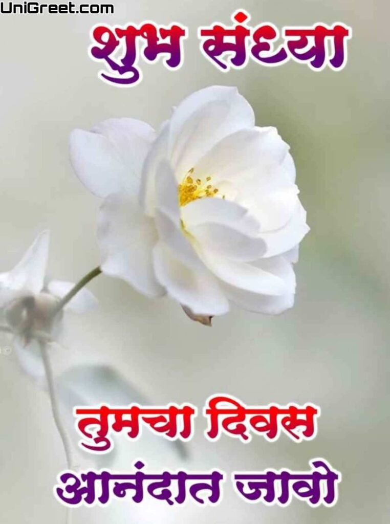 BEST Good Evening Marathi Quotes Images﻿ Status Thoughts Shayari Download