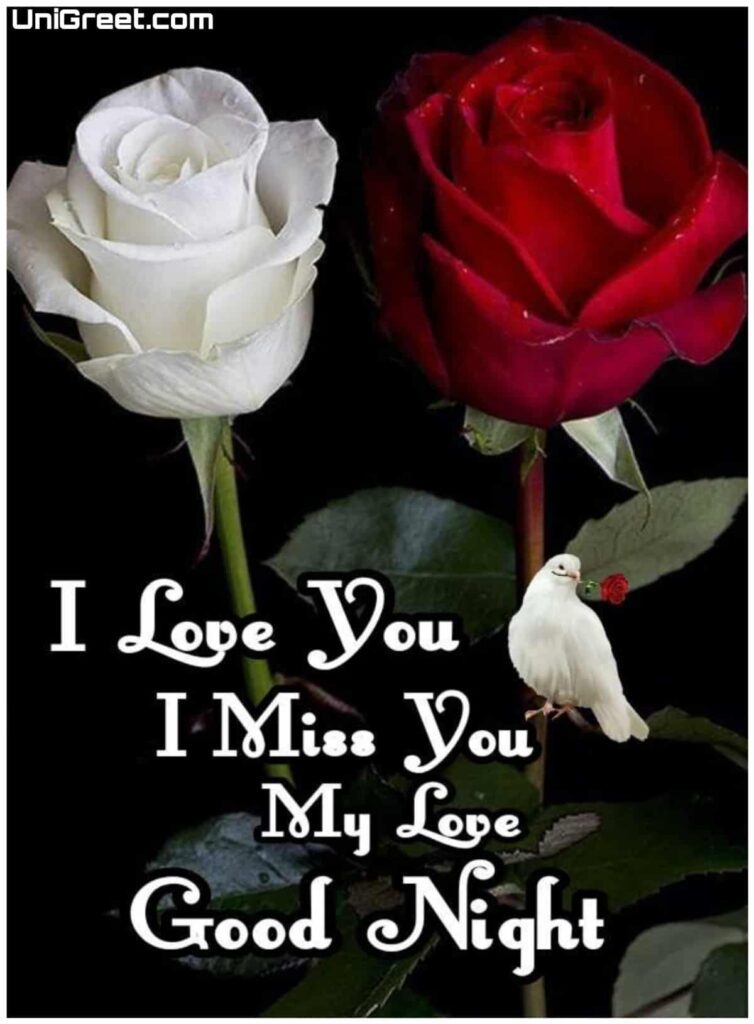 good night i love you i miss you good night i love you i miss you