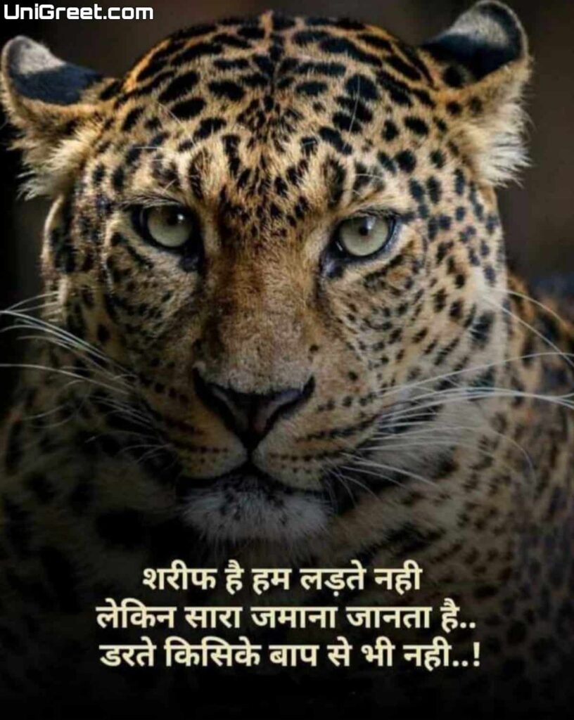 tiger quotes in hindi images