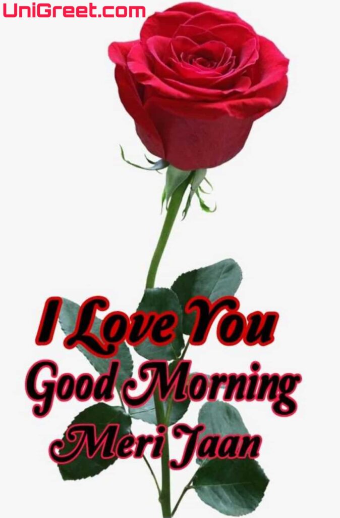 i love you good morning meri jaaan