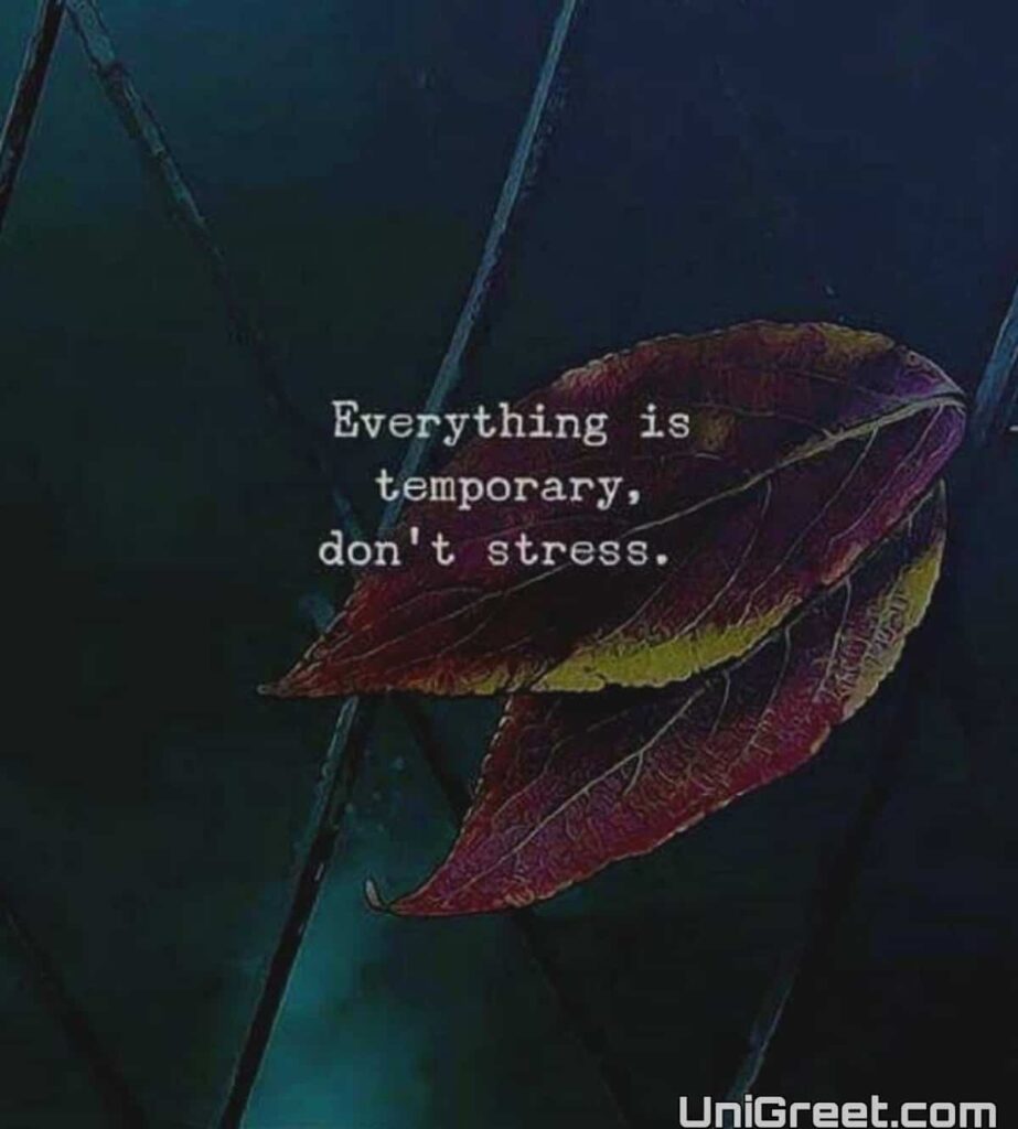 Everything is temporary quotes images dp status 