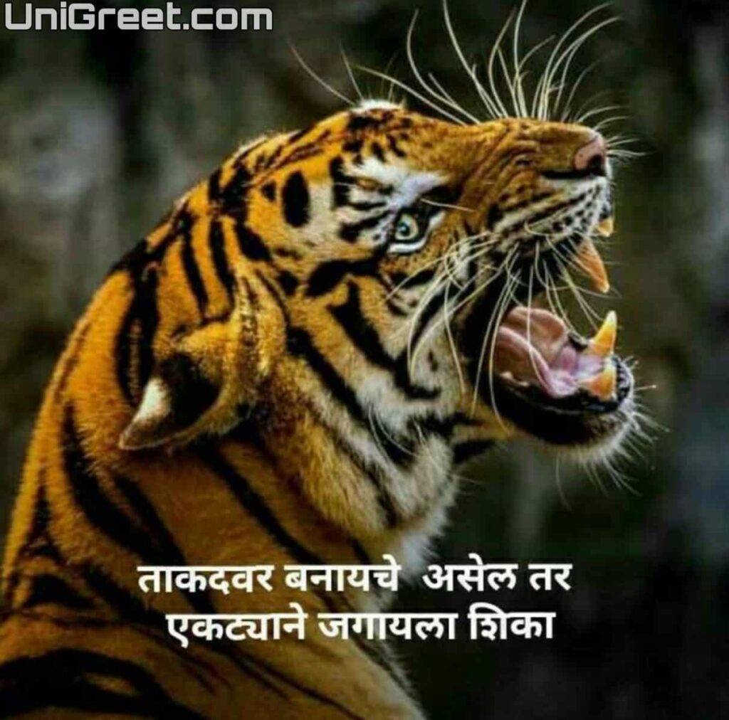 instagram marathi quotes images