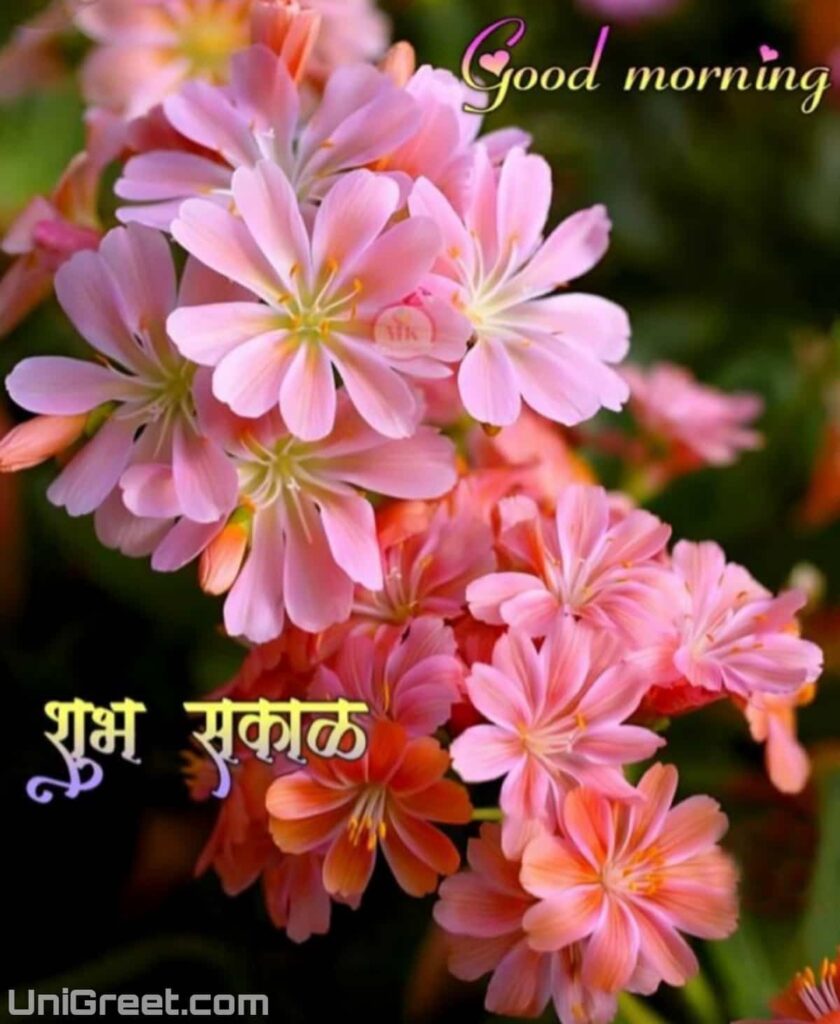 Good Morning Images Marathi