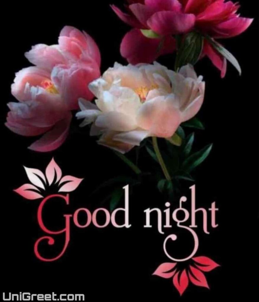 Good night wishes image