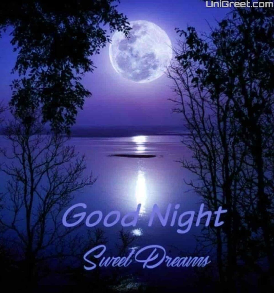Good night sweet dreams with moon