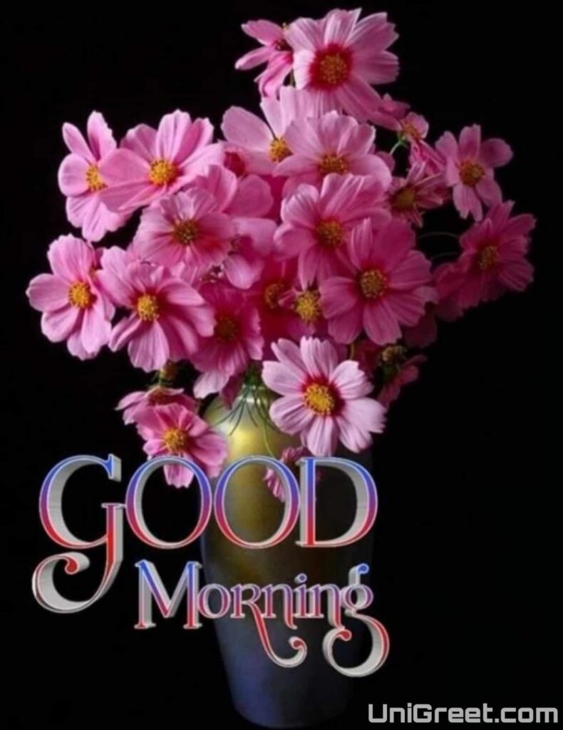 New Beautiful good morning images download free
