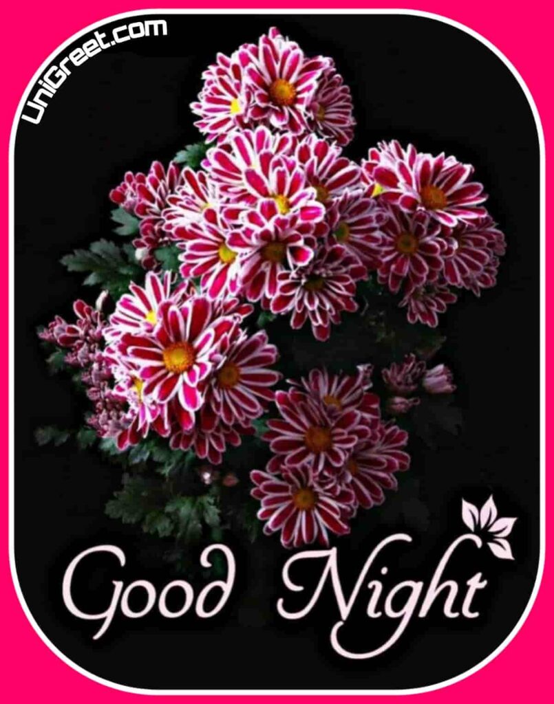 Lovely good night image with nice flowers