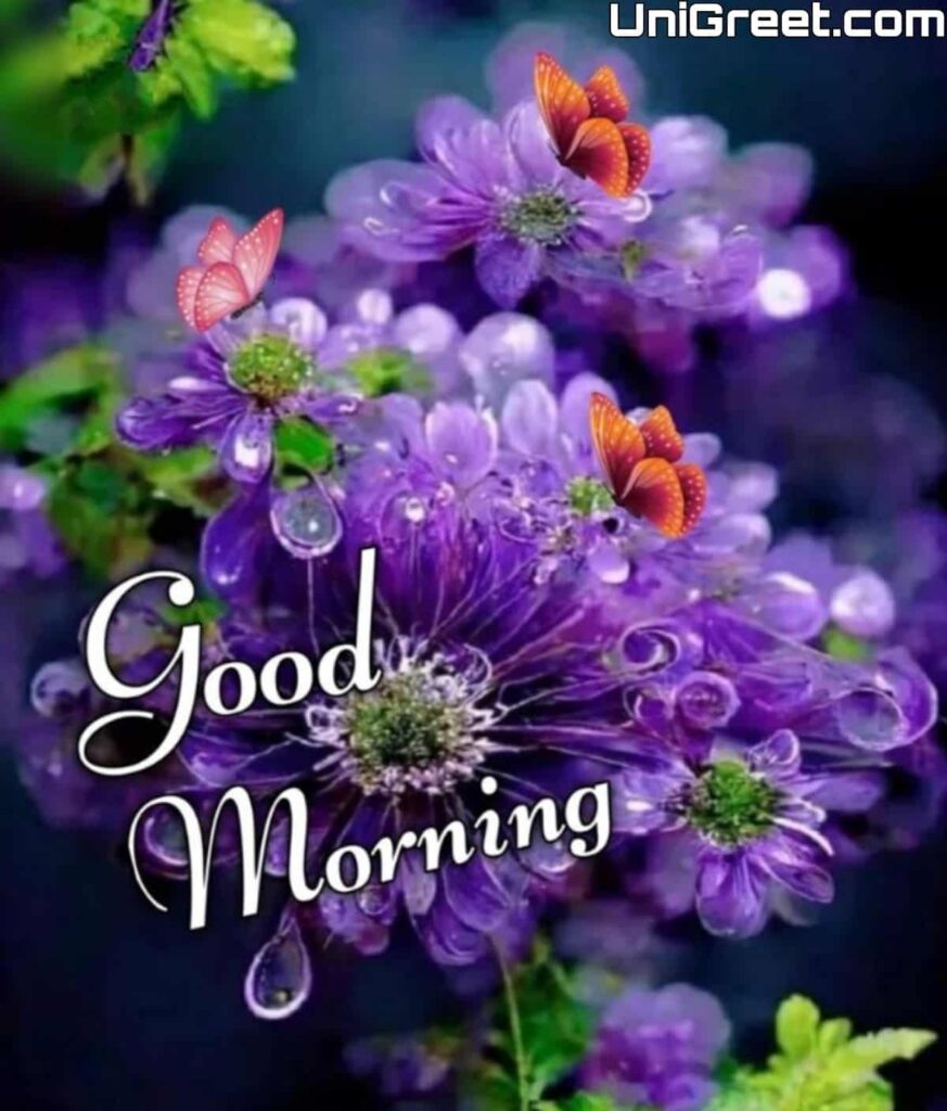 Good Morning Images for Whatsapp with Beautiful Flowers