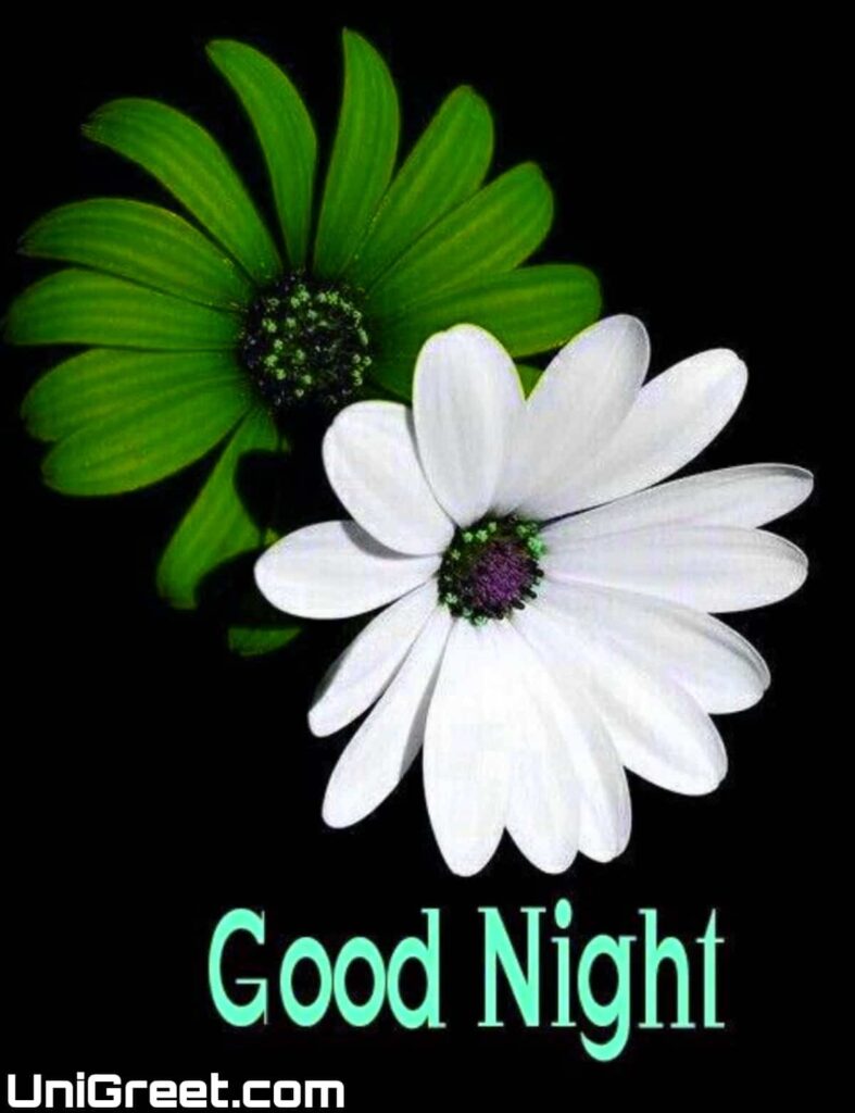 good night beautiful green and white flower