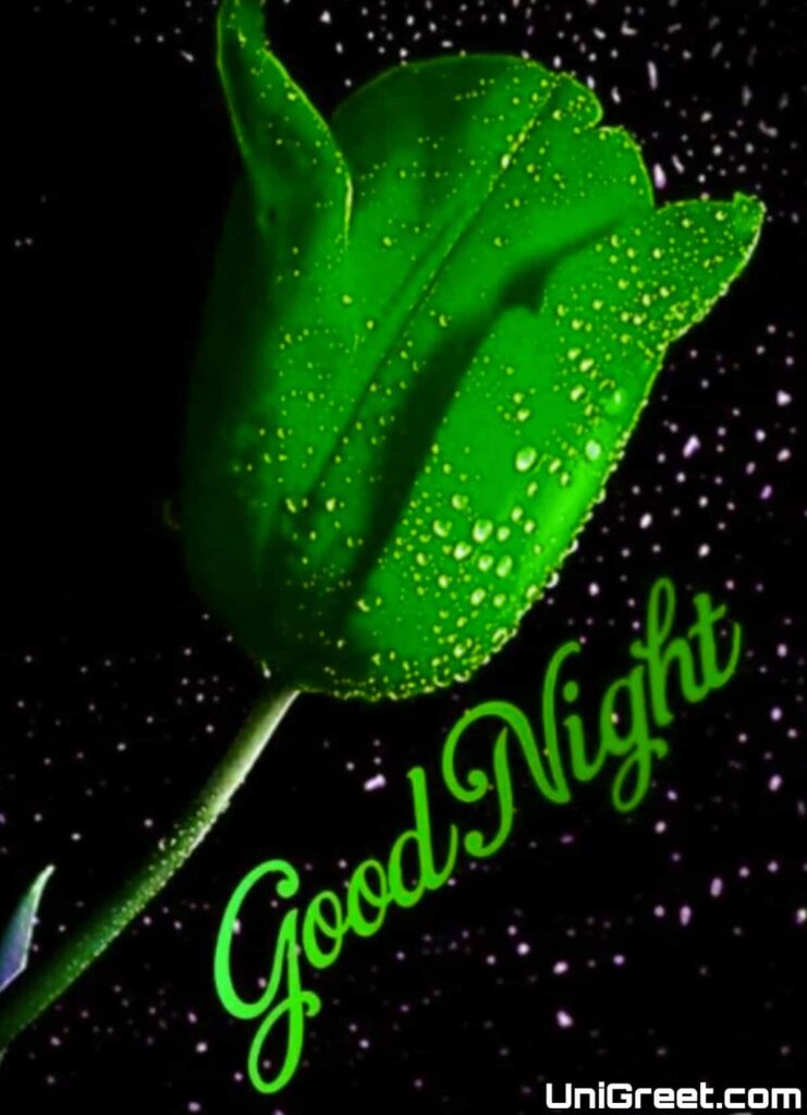 good night green rose