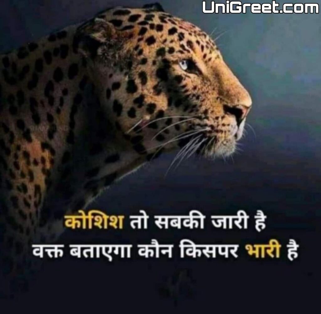 2023 Best Tiger Attitude Quotes Shayari Status Images In Hindi